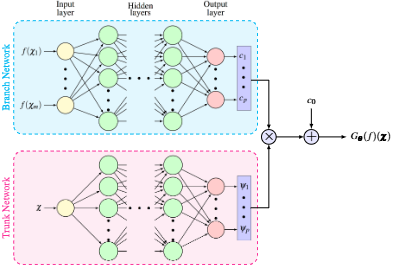 DeepONet branch–trunk surrogate architecture